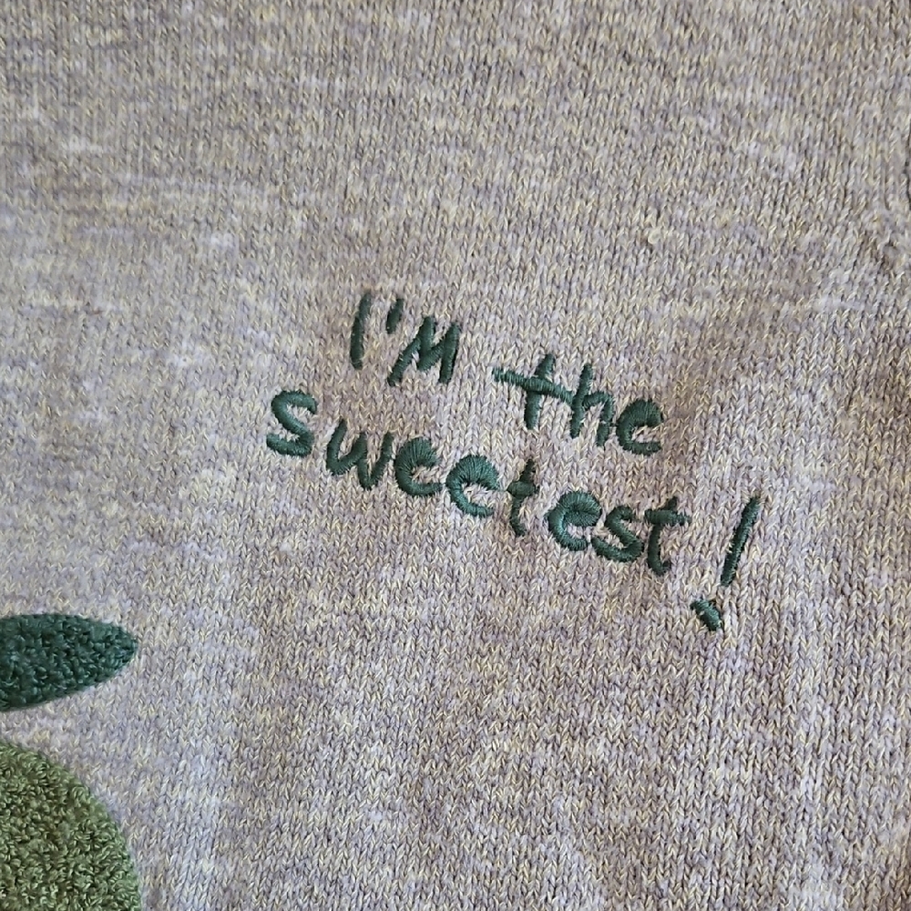 Zara Gray and Green Knit Sweater, Frwnch Terry Apple Motif - Picture 3 of 6